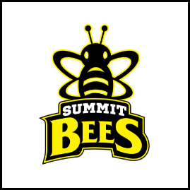 Summit Bees