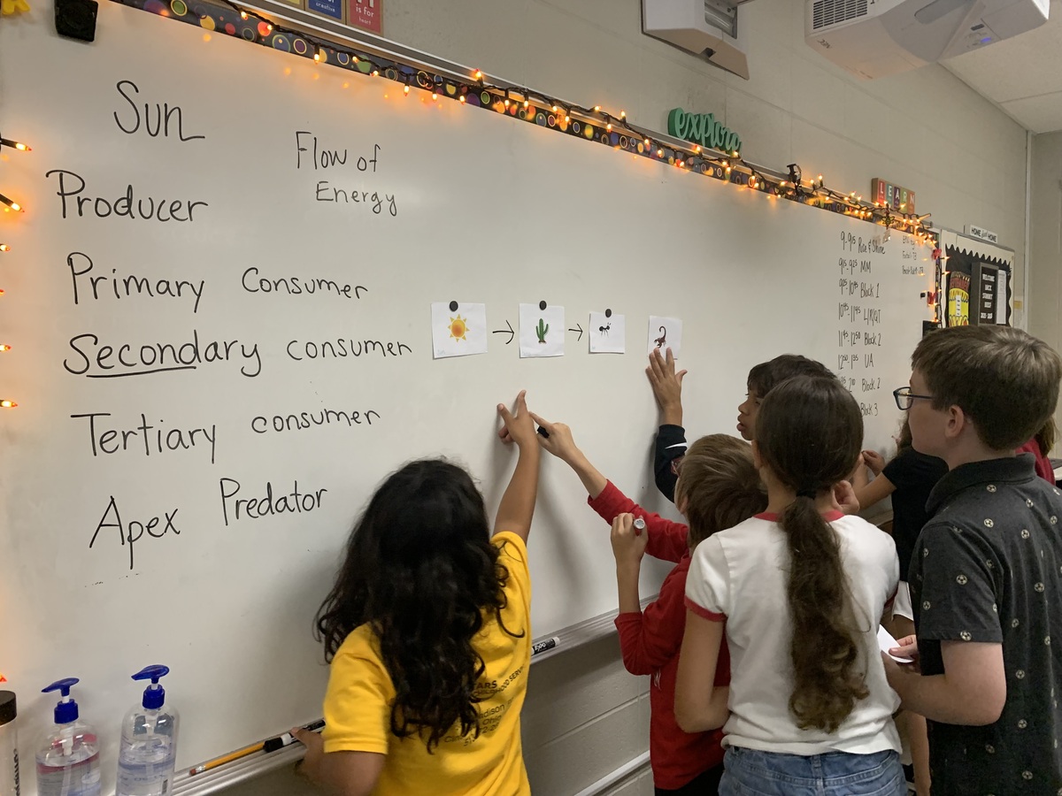 students participate in a learning activity on a white board