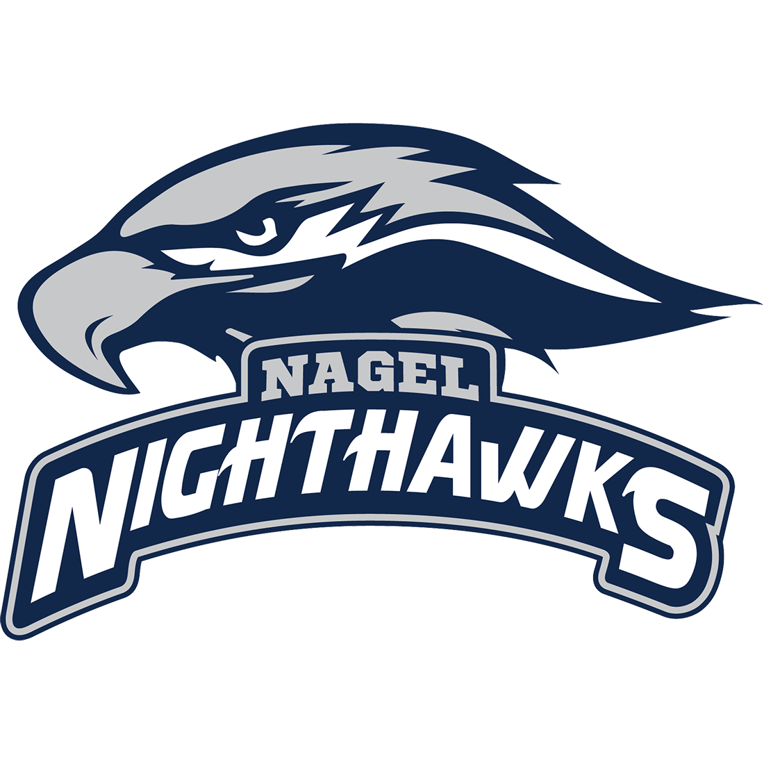 Nagel Nighthawks logo